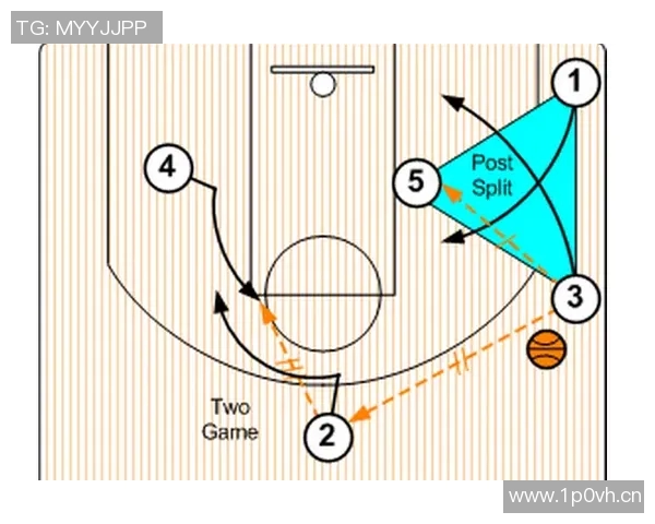 深圳飞盘队配合战术深度解析与对比分析